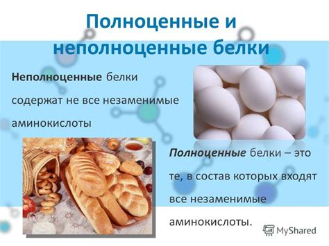 Презентация на тему: "Проект по химии на тему: «Белки». 02 Что такое ...