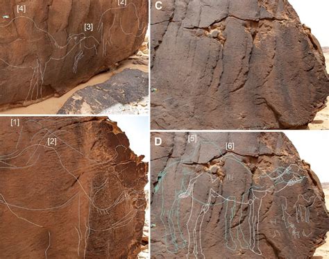 Life-Size Images of Extinct Camels Discovered in Saudi Arabian Desert