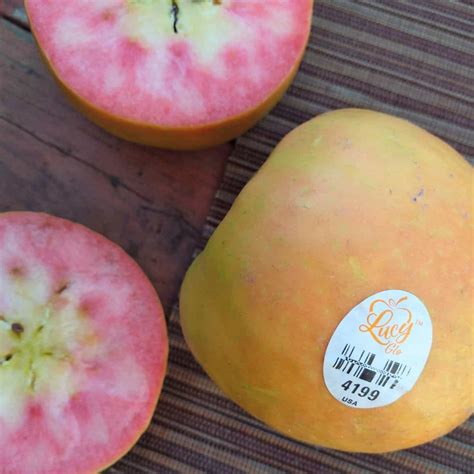 What are Lucy Glo Apples? - Eat Like No One Else