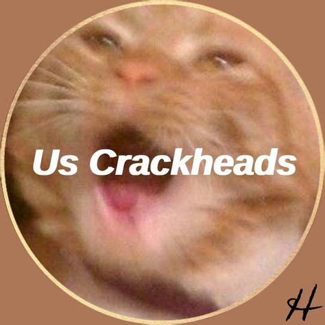 Funny Group Chat Profile Pictures