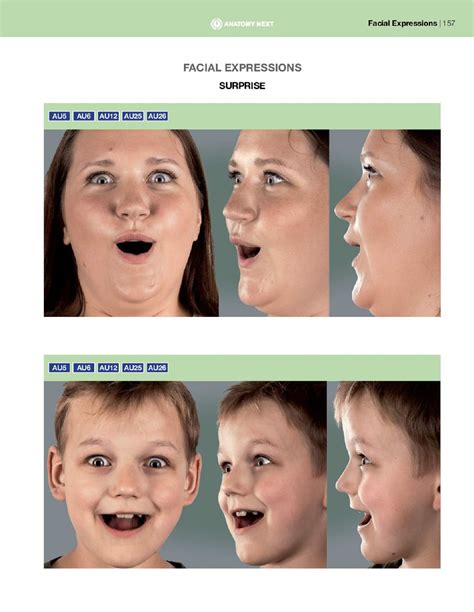 ANATOMY_OF_FACIAL_EXPRESSION.pdf - fettahh.er - Page 159 | Flip PDF