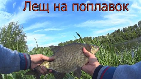 ПАРЕНАЯ ПЕРЛОВКА творит чудеса! Ловля леща на поплавочную удочку ПОЙМАЛ ...