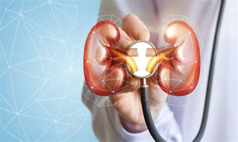 insuficiencia renal - Entrenamiento