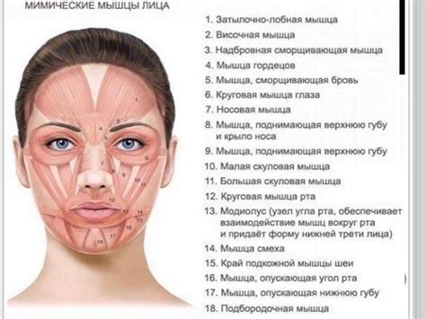 Эстетическое тейпирование лица и тела - презентация онлайн