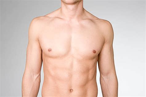 male torso stock  pictures royalty  images istock