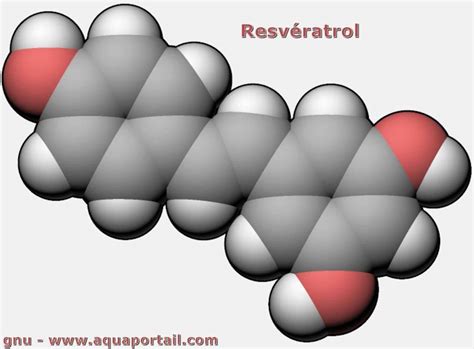 Resvératrol : définition et explications