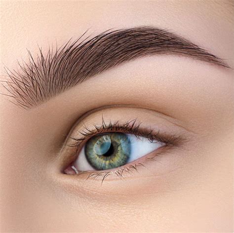 brow  belladerma beauty academy