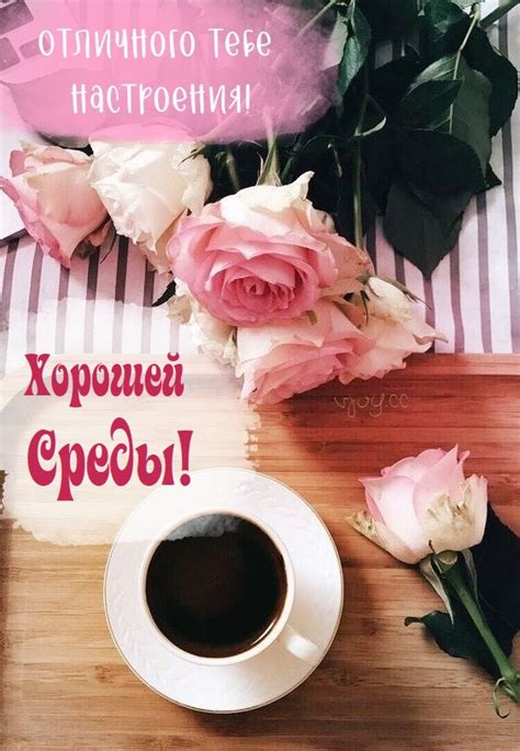 Красивые картинки - Хорошей среды! (80 фото)