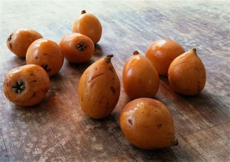 What Are Pomes?