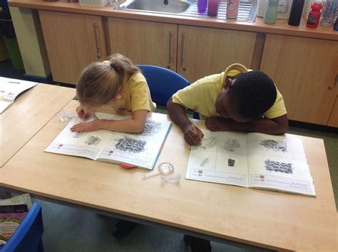 Amazing Artists - Ferndown First School