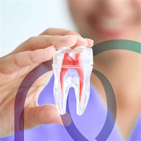 Endodontia • Bonassi Odontologia Integrada