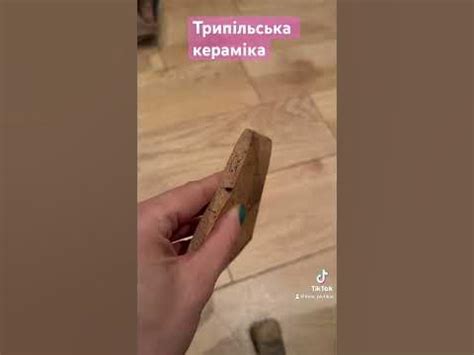 Трипільська кераміка #впередуминуле #коп #копійчужка # трипілля - YouTube