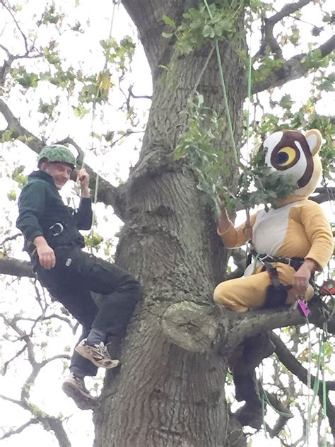 Slow Loris Outreach Week at Shaldon Zoo | The Exeter Daily