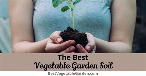 Best Vegetable Garden Soil To Buy or DIY Mix 2025
