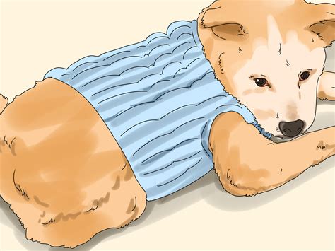 Using Coconut Oil On Cats For Fleas at Matilda Howard blog