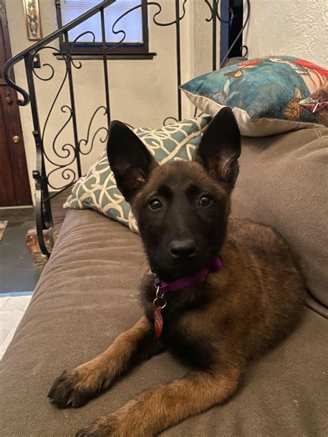 Brought this cutie home 2 days ago :) i’ll take all the advice for