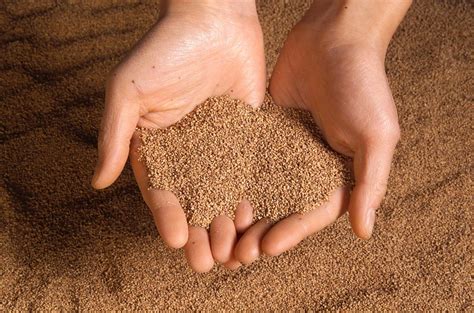 dangers  combustible dust   workplace  news