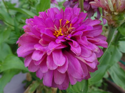 Messages from Ann & the Angels