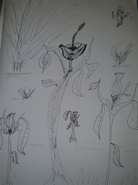 Un Beso Y Una Flor Letra 4