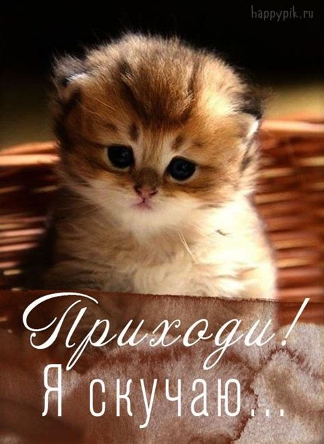 Открытки ПРИХОДИ. Картинки Приходи, Заходи в гости, Жду тебя ...