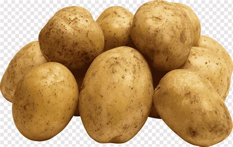 Russet Burbank French fries Vegetable, potato, food, image File Formats ...