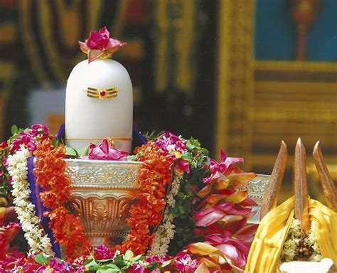 Shiv Pujan Vidhi: शिवलिंग की पूजा से पहले रखें इन खास नियमों का ध्यान ...