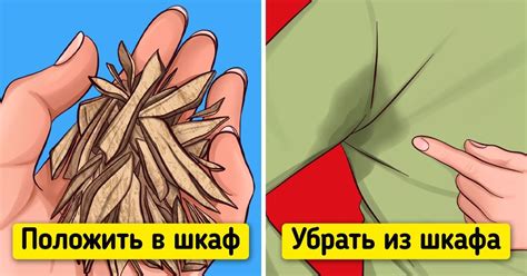 Как вывести платяную моль из квартиры / Бери и делай