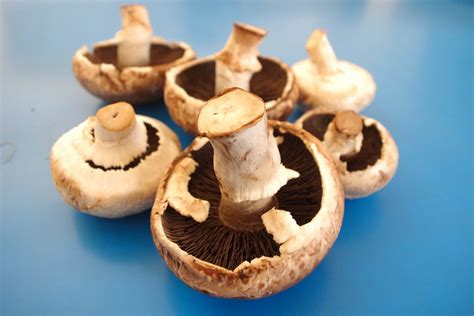картинки : ресторан, Пища, производить, кухня, Здоровый, готовить ...