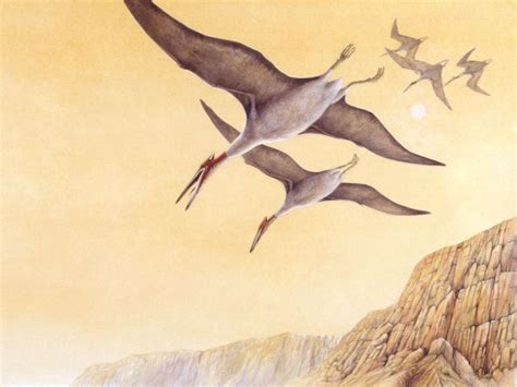 How Pterosaurs Might Inform the Next Generation of Flight by Riley ...