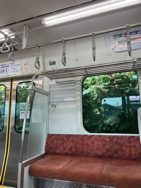 Planning a Trip to Japan Guide: All You Need to Know + Useful Tips