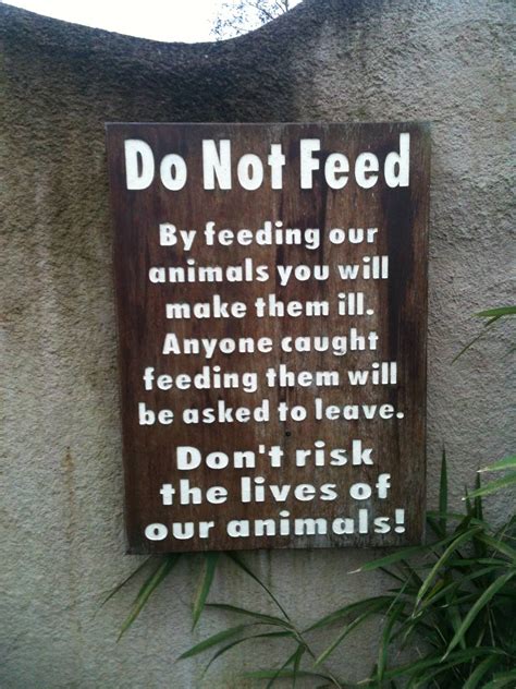 "Do Not Feed" Sign - 16/02/2011 - ZooChat