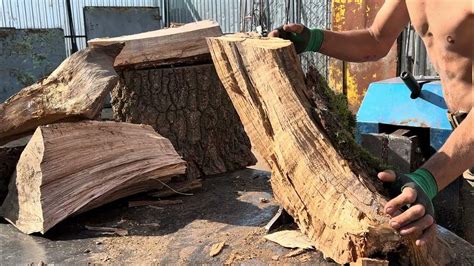 🌳Ну і ці здоровенні пні Дровокол TIREX розрубує за лічені хвилини💪💪💪 ...