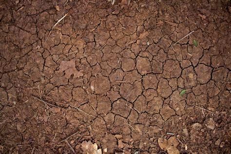 SUPPORT FOR IMPLEMENTING THE EU SOIL STRATEGY FOR 2030 - WUR