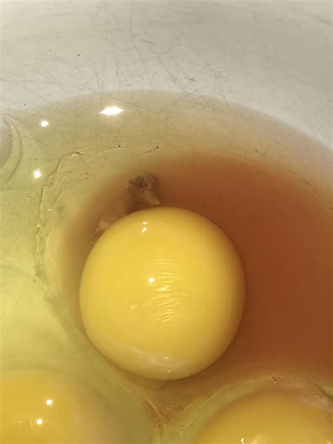 My appetite for eggs is suddenly gone. : r/pics