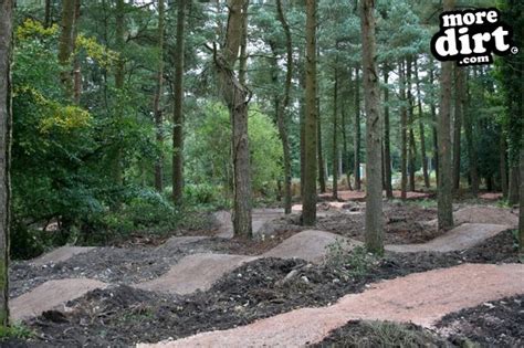 Haldon Forest Skills Area & Pump Track | Photo 49908