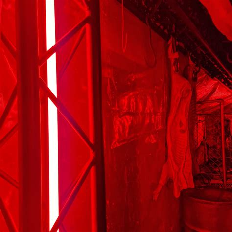 Cult Horror Event Theming | Themed Events and Productions