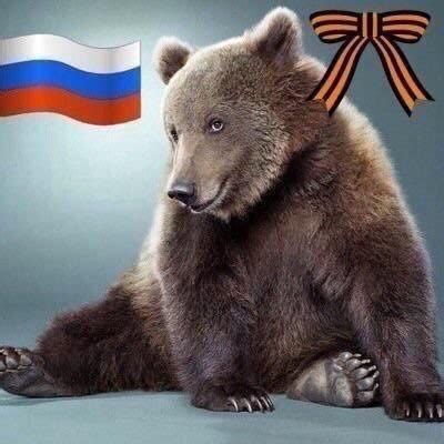 ПРАВДИВАЯ ПРАВДА on Twitter: "... ваши проблемы только начинаются http ...