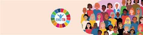 Global progress in the implementation of national TB surveillance ...
