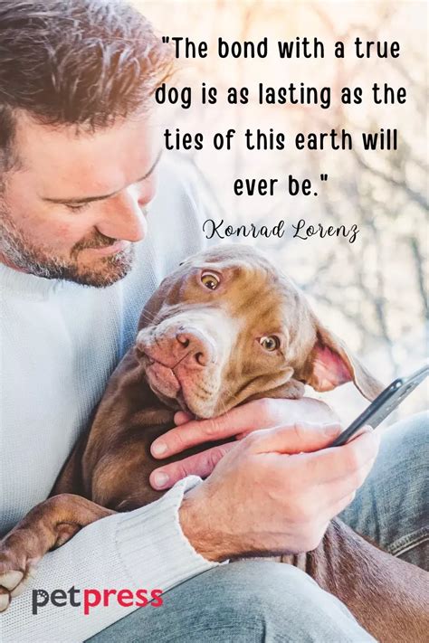 eyes top  quotes  showing kindness  animals artofit