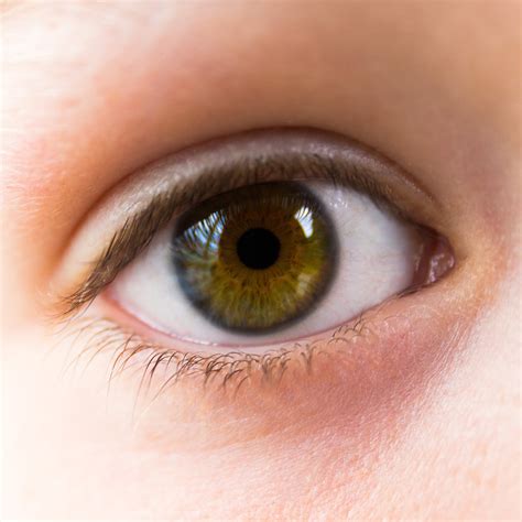 Eye Green Brown - Free photo on Pixabay