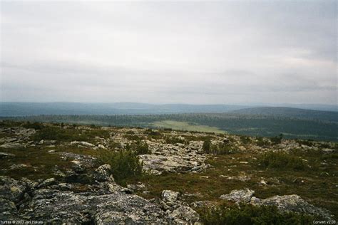 tuntsa - Tuntsa - Janin valokuvia