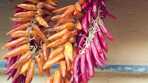 Как се садят люти чушки? | Agri.BG