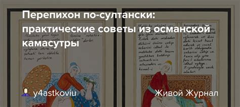 Перепихон по-султански: практические советы из османской камасутры ...