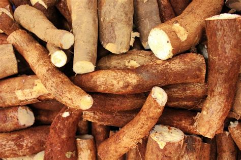 Was ist eigentlich Maniok? - speisekarte.de - Der Foodblog