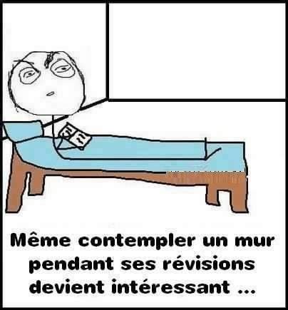 Un mur est il plus passionnant que les révisions