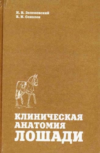 Клиническая анатомия лошади