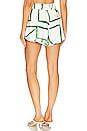 Sancia The Pallas Shorts in Sirus Grid | REVOLVE