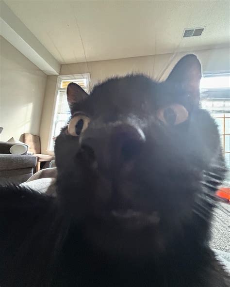 Dexter