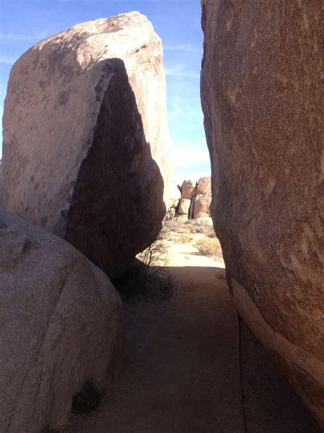 joshua tree national park cap rock 4