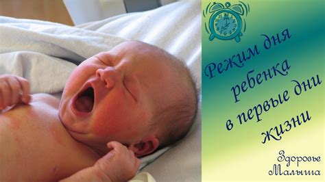 Режим дня новорожденного ребенка в первые дни жизни - YouTube